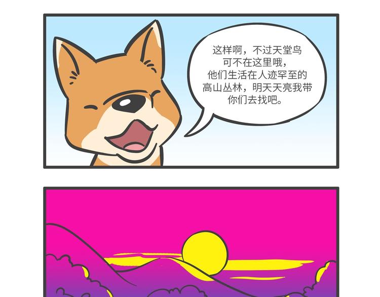 &ldquo;武林高手&rdquo;天堂鸟-第24话