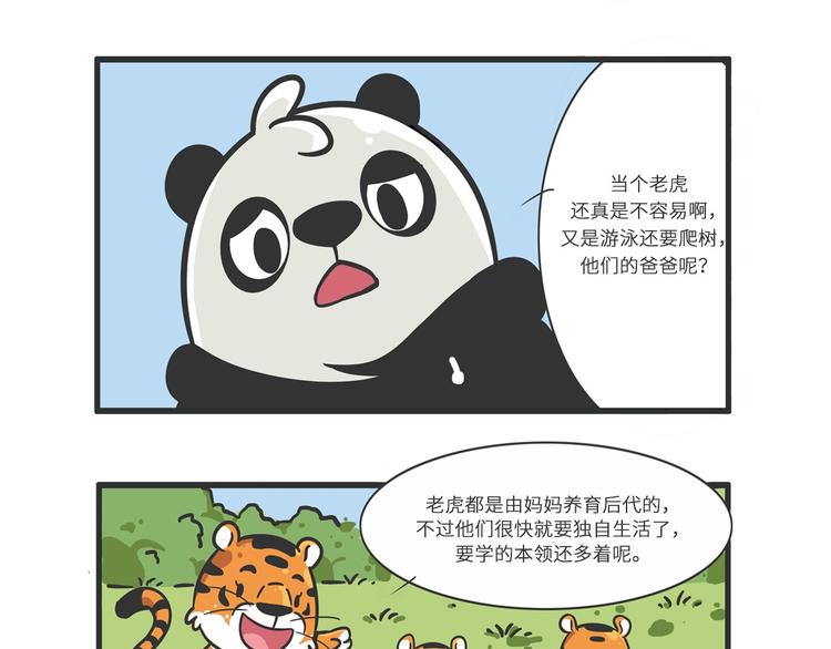 明日之星&ldquo;达米尔&rdquo;-第26话