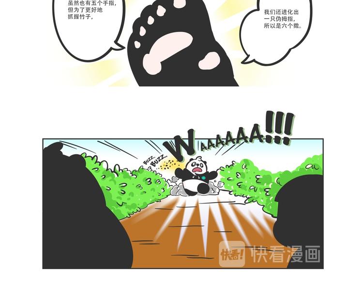 走丢的&ldquo;熊猫君&rdquo;-第4话