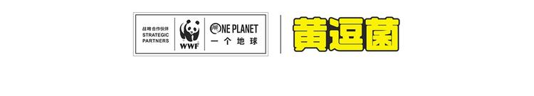 走丢的&ldquo;熊猫君&rdquo;-第4话