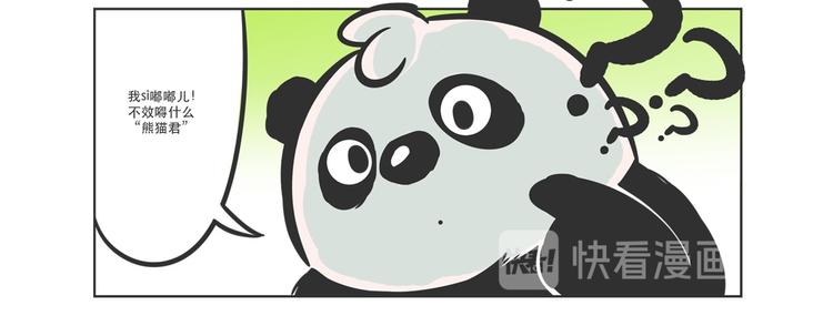 走丢的&ldquo;熊猫君&rdquo;-第4话
