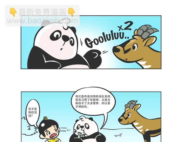 熊貓君&黃逗菌可持續生活志第二季 - 走丟的“熊貓君” - 1