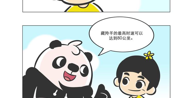 熊猫君&黄逗菌可持续生活志第二季 - 高原精灵“卓玛”和“桑吉” - 1