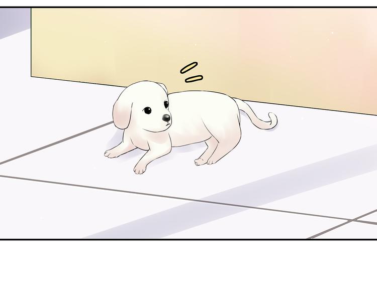 第12话 我是不会先说的(1/2)-第12话