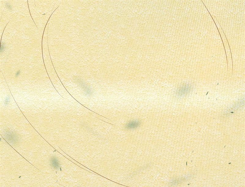 第29话 我们认识么？(1/2)-第30话