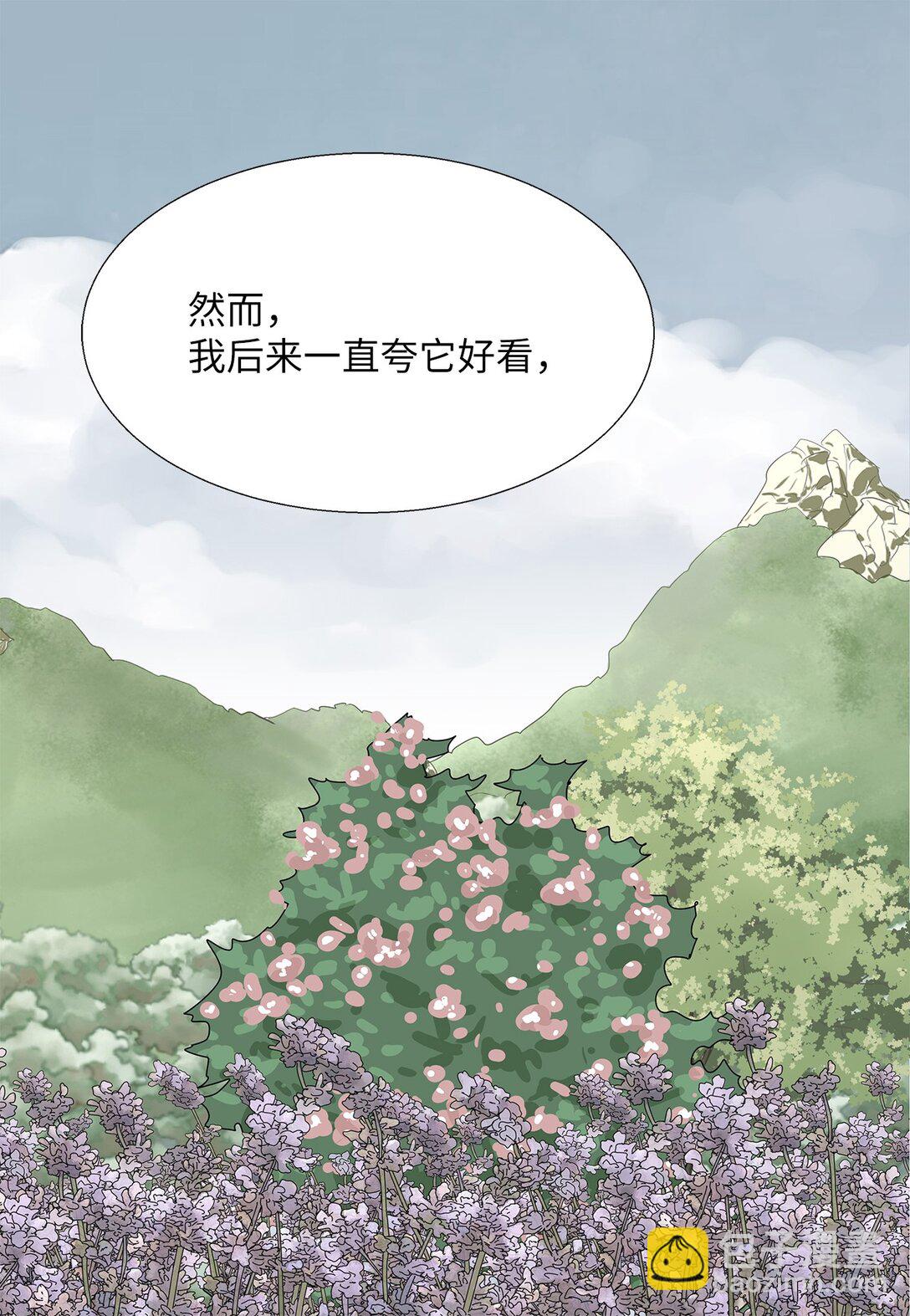 番外12 荆棘-第72话