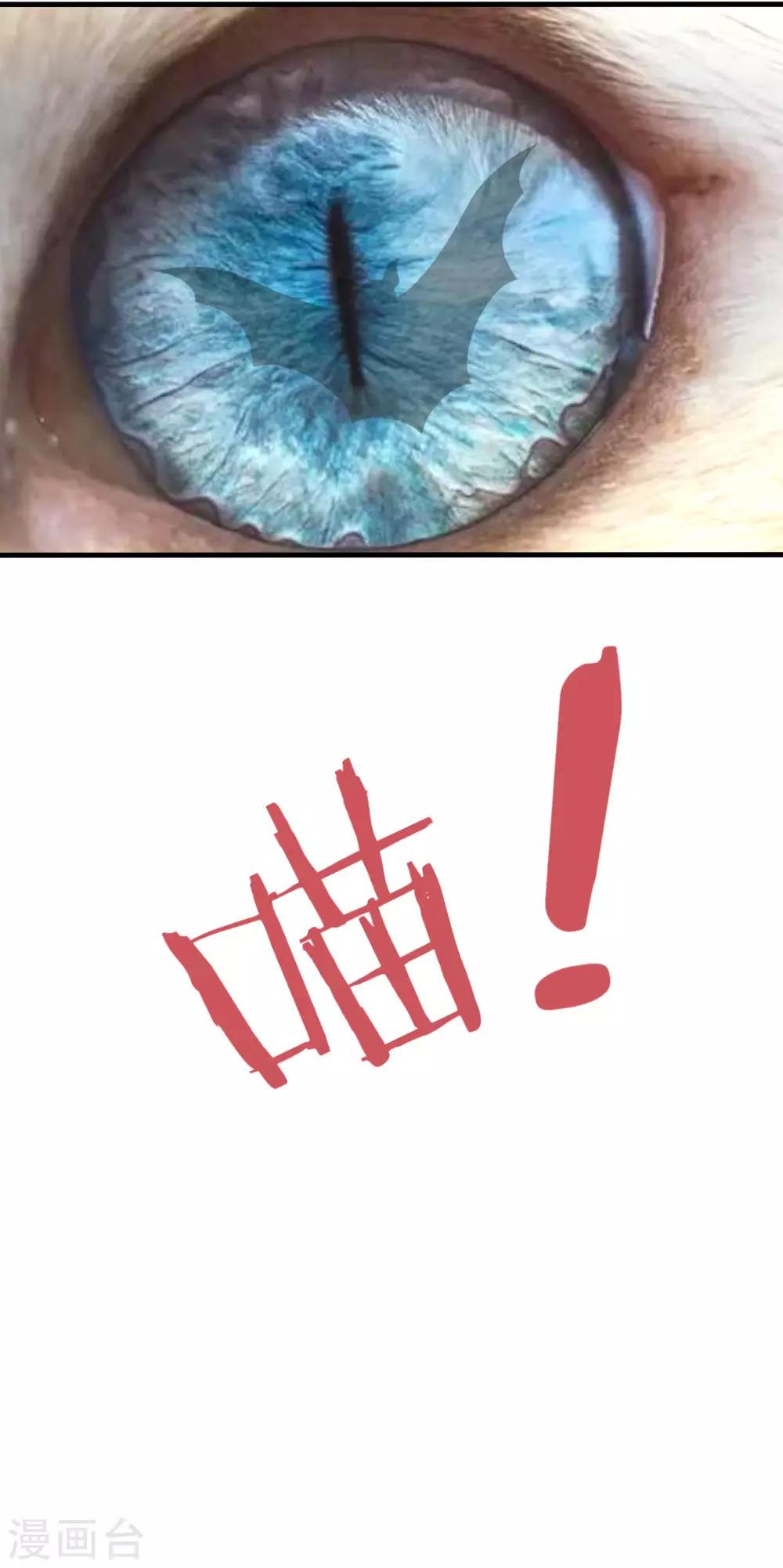 吸血鬼男神 - 第16話 嚇shi本喵了！ - 1