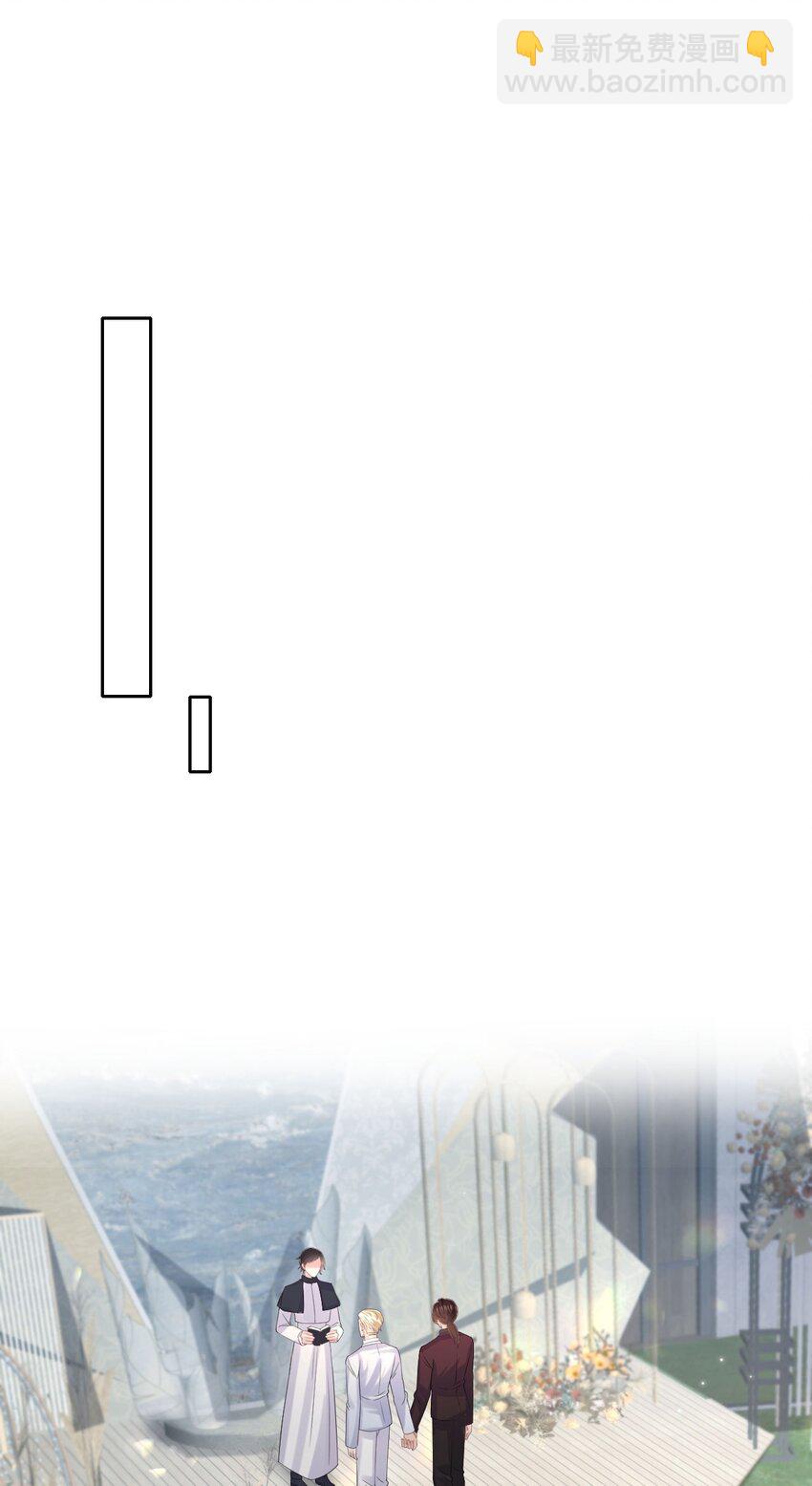 第118话 婚礼惊喜-第124话