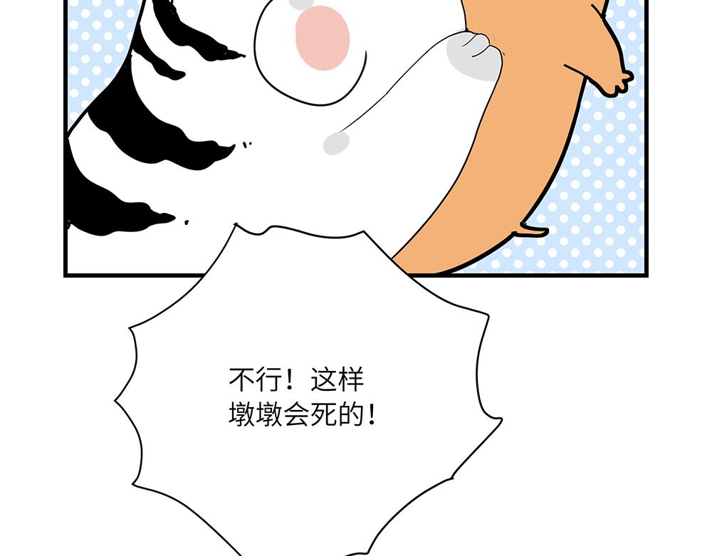 第50话 决战前夕(1/2)-第50话