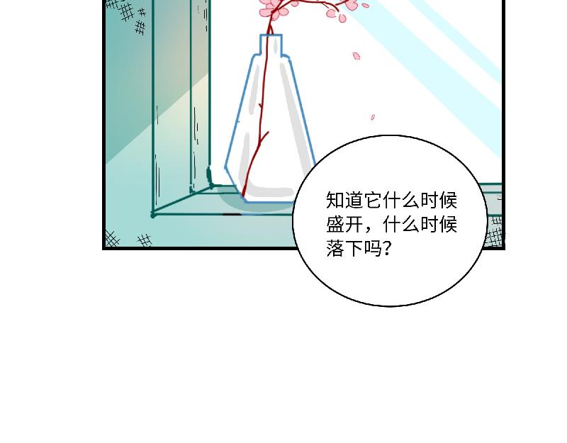 第8话 桃灵和少年-第8话