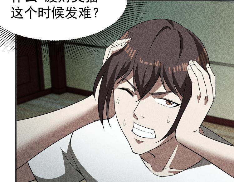 第27话 灵猫之终(1/3)-第28话