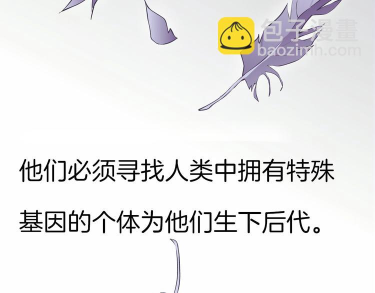 第1话 误打误撞！？(1/3)-第2话