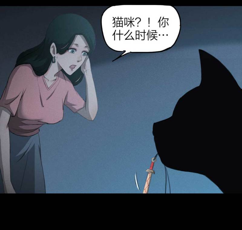 悬疑猫——大叔深夜故事集 - 085-捉迷藏（下）(1/2) - 8