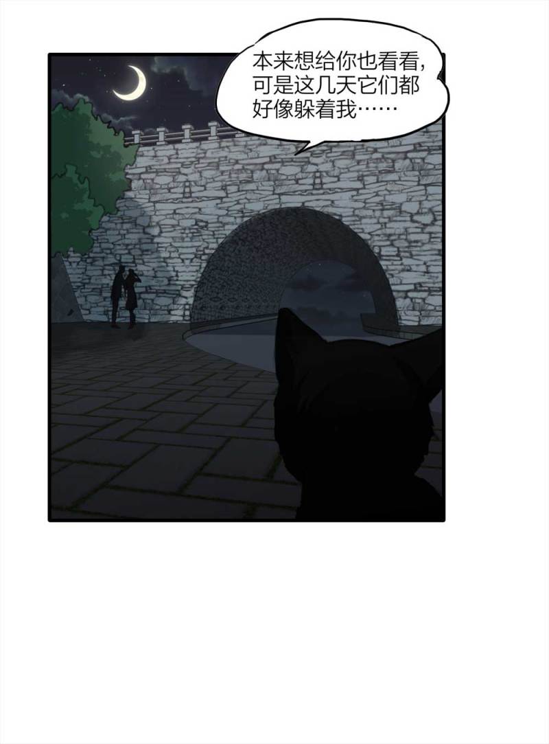 悬疑猫——大叔深夜故事集 - 097-情未了（下）(1/2) - 4