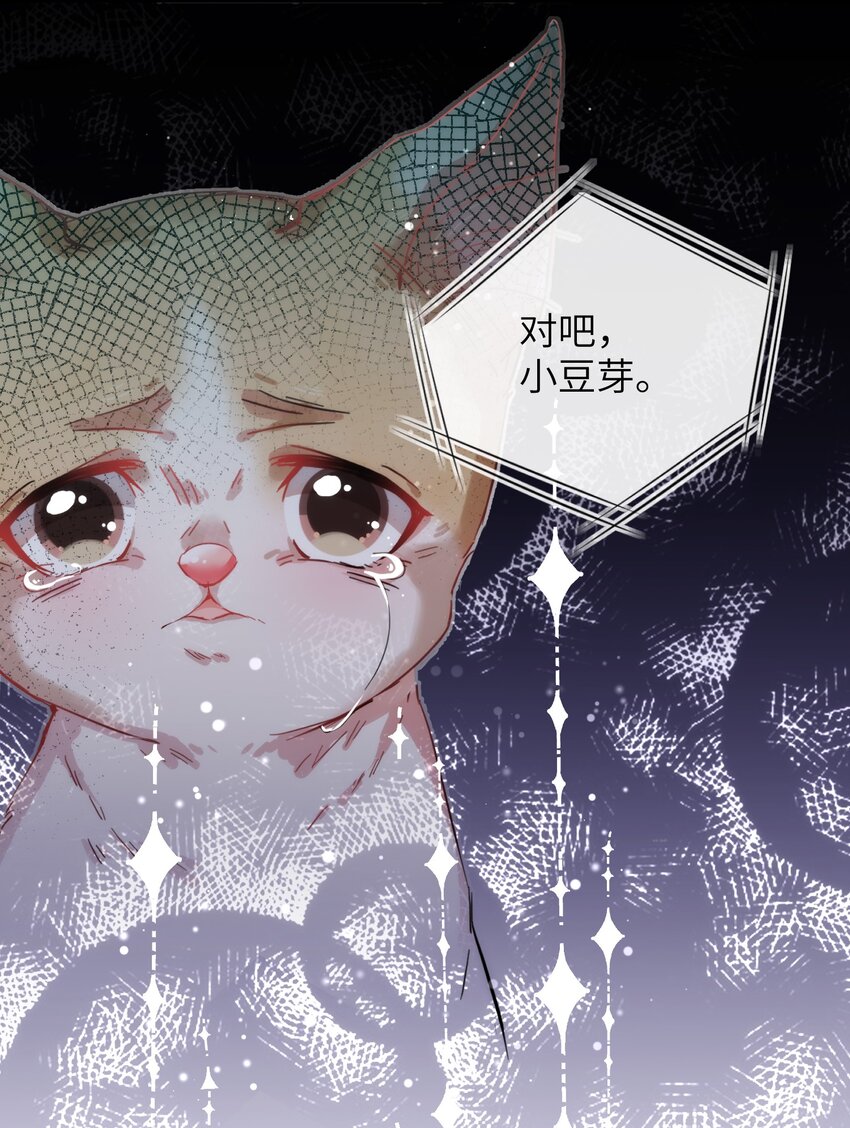 006 小狗豆芽的求助-第6话