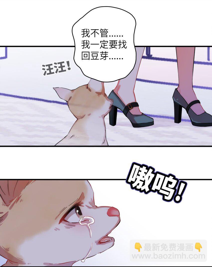 006 小狗豆芽的求助-第6话