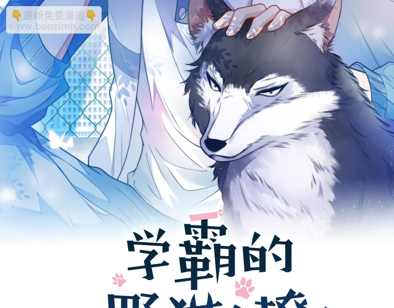 第41话 保持距离(1/2)-第42话