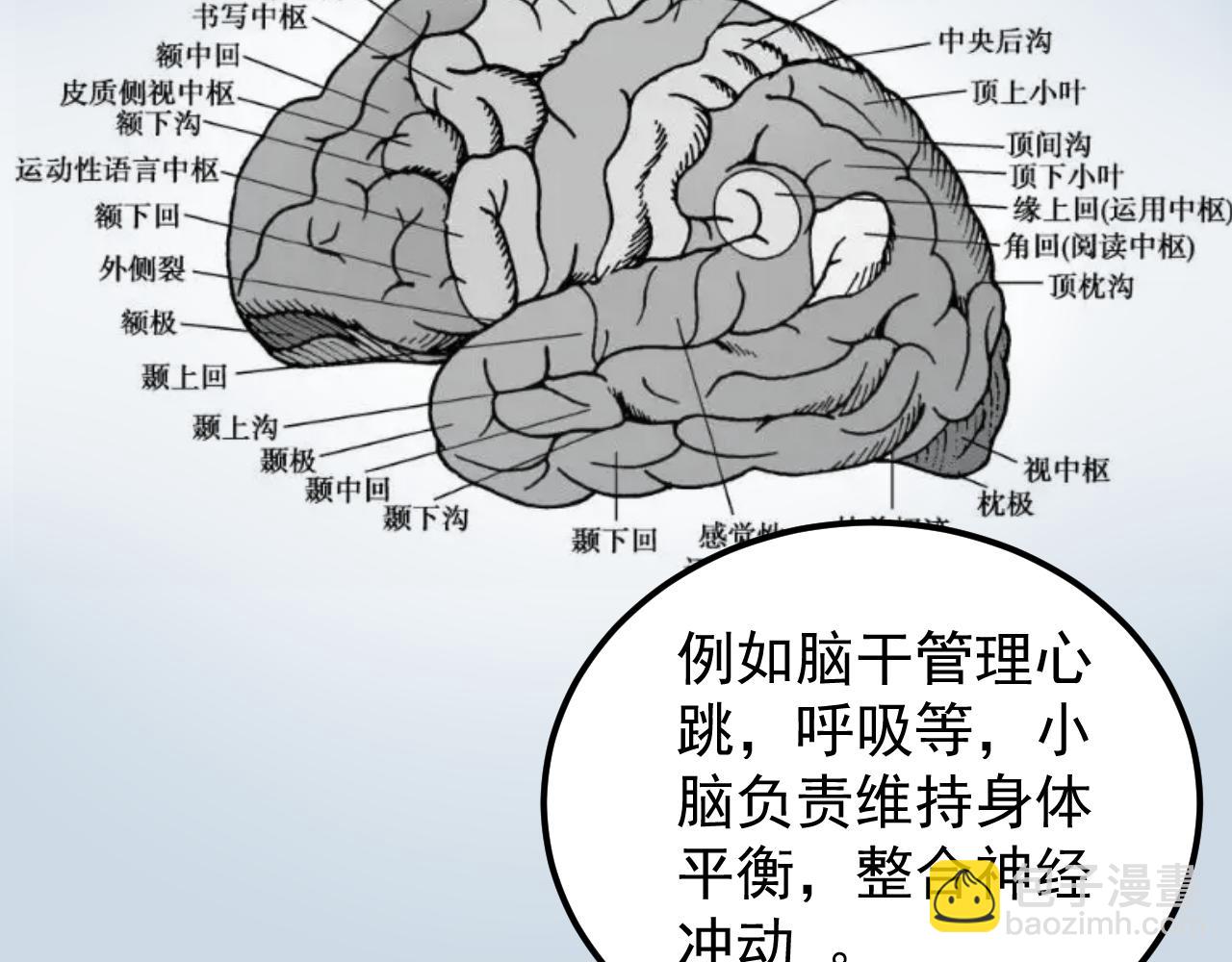 第192话 老鼠实验(1/2)-第196话