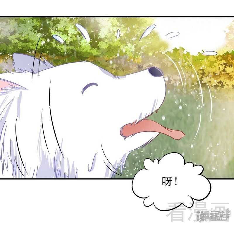 第41话 真&middot;虐狗！-第42话