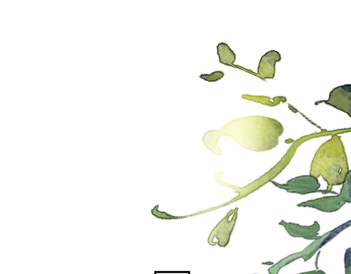 第202话 土匪母女（十二）(1/2)-第204话