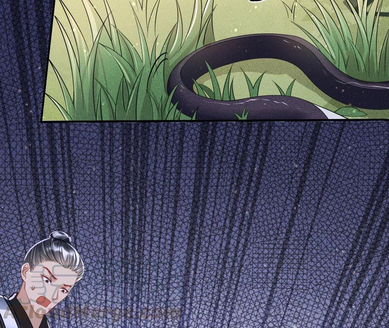 不怕的，我们有蛇仙庇佑(1/2)-第40话