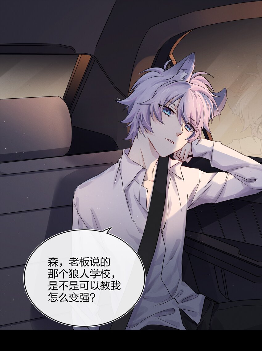 019 最喜欢的，是什么？-第20话