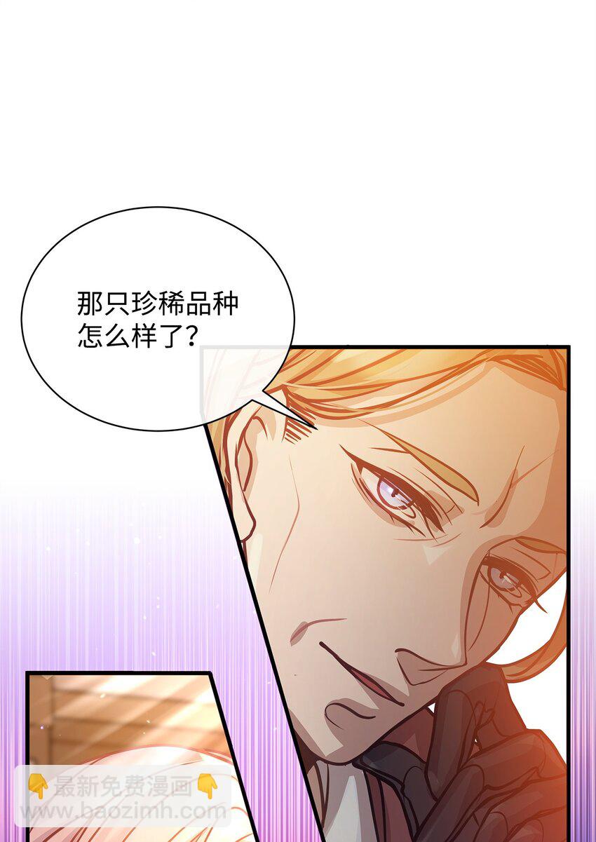 02 掩饰与真实(1/2)-第2话