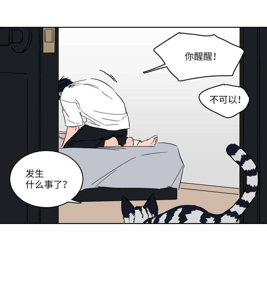 19 取珍珠-第20话