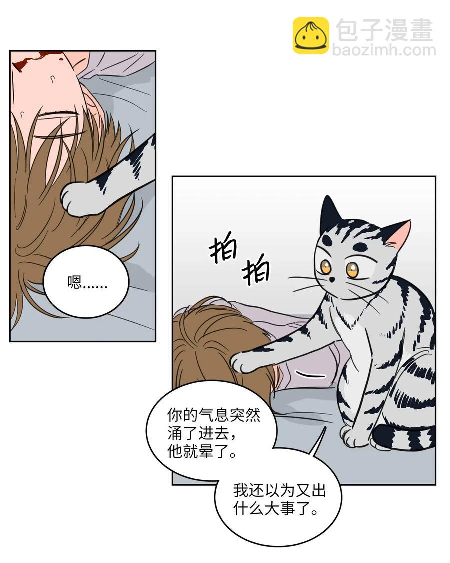 19 取珍珠-第20话