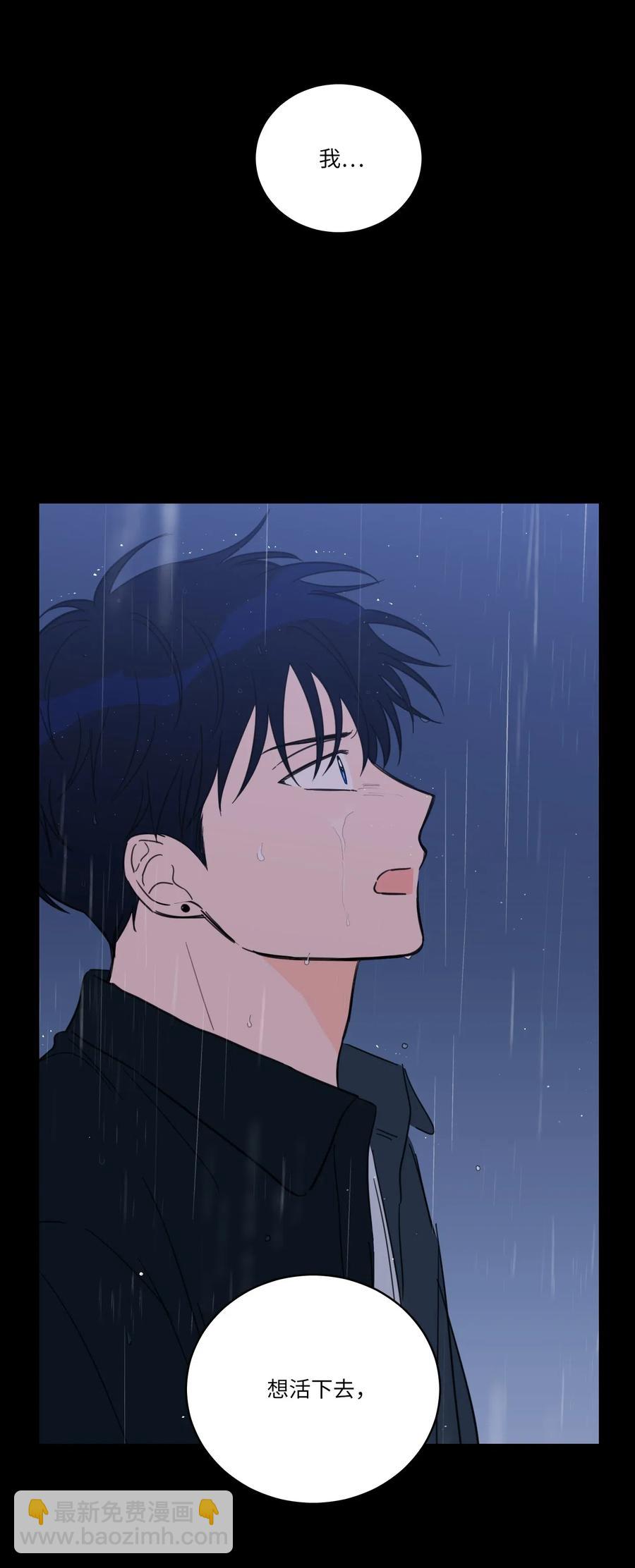 41 特别的力量-第42话