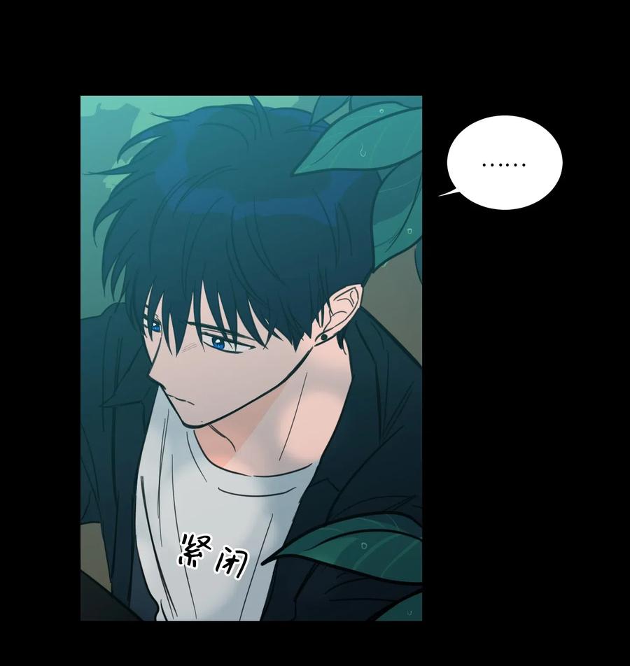 41 特别的力量-第42话