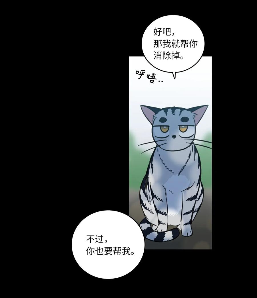 41 特别的力量-第42话