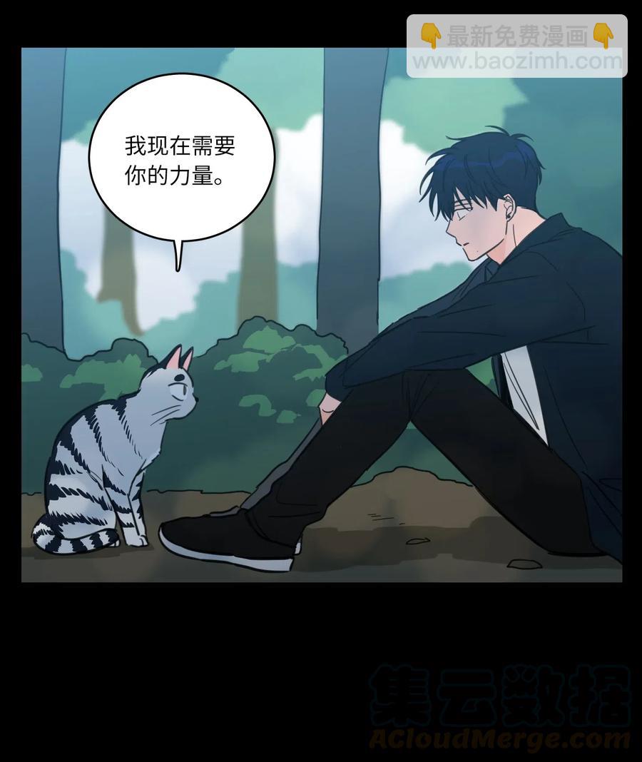 41 特别的力量-第42话