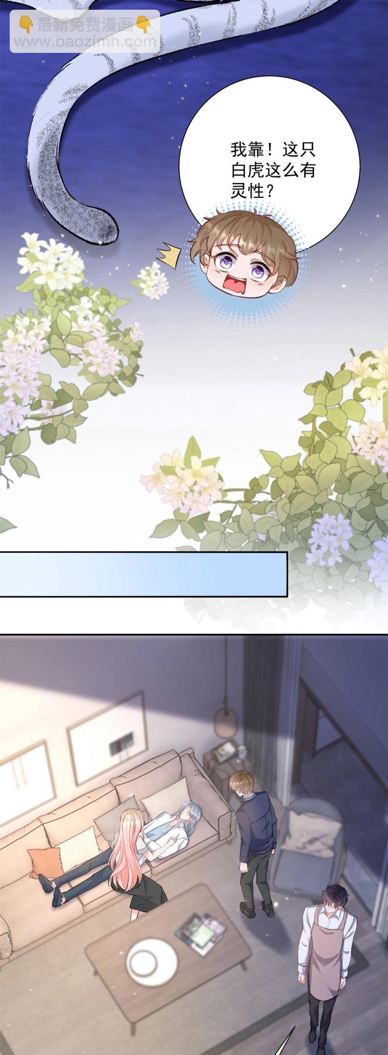 許你萬丈光芒好 - 第402話 第395話 白虎 - 4