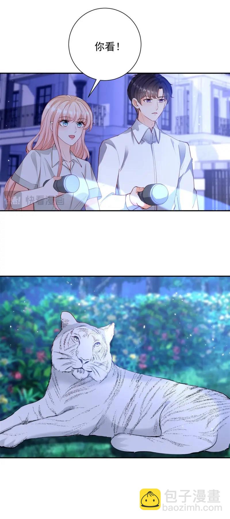 許你萬丈光芒好 - 第402話 第395話 白虎 - 5