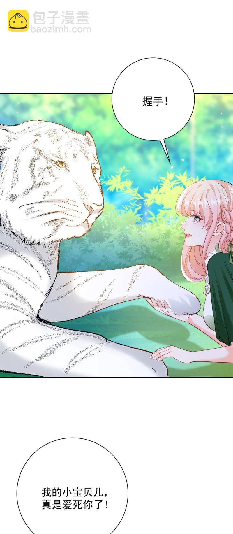 許你萬丈光芒好 - 第402話 第395話 白虎 - 2