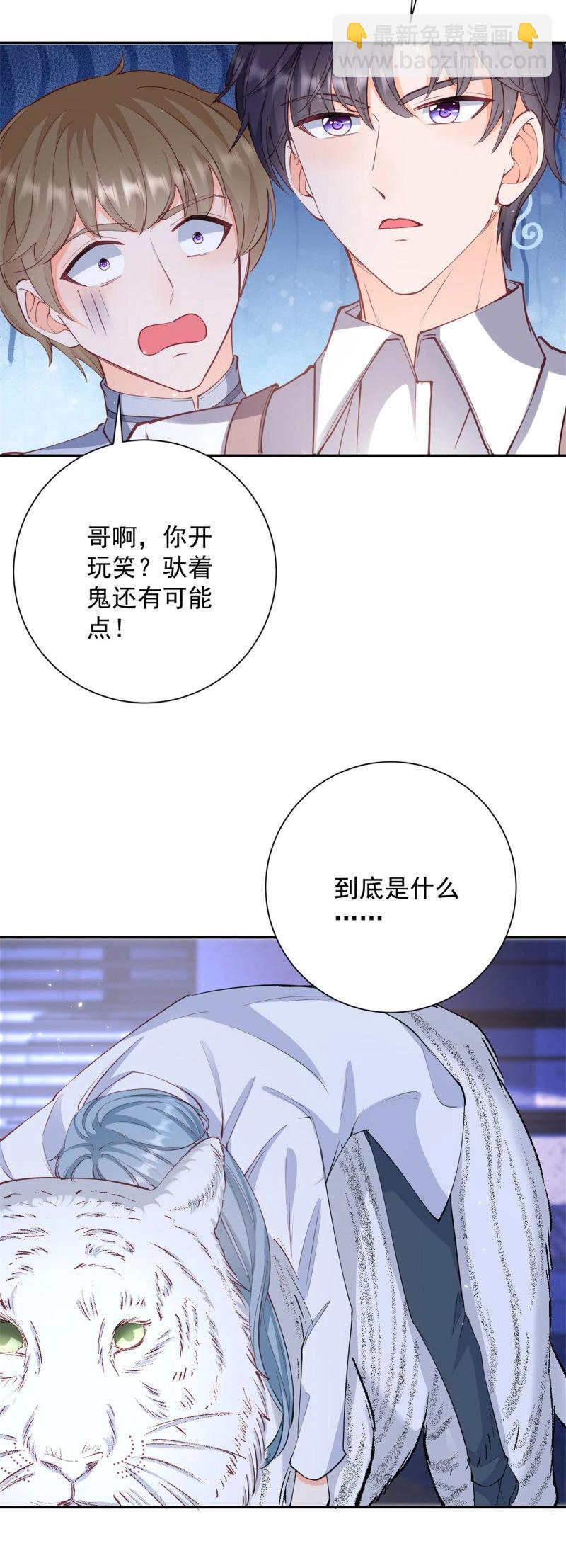 許你萬丈光芒好 - 第402話 第395話 白虎 - 4