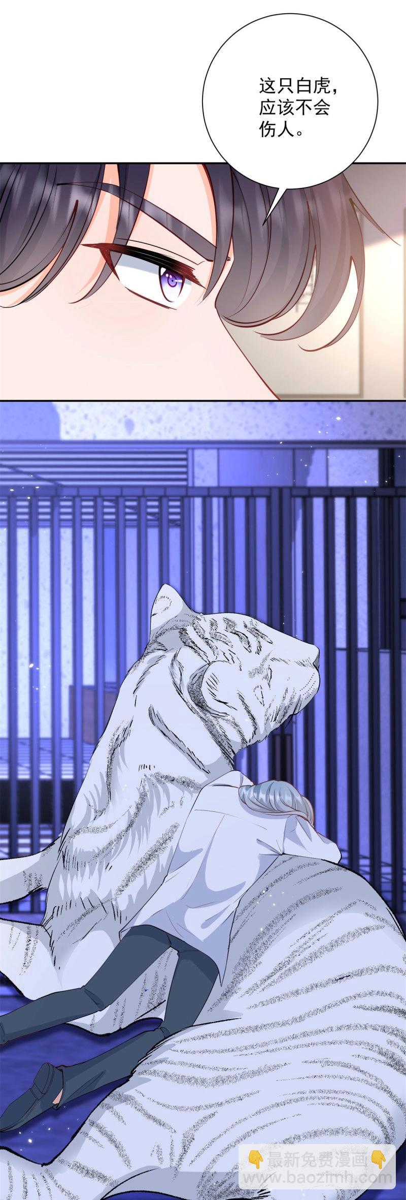 許你萬丈光芒好 - 第402話 第395話 白虎 - 3