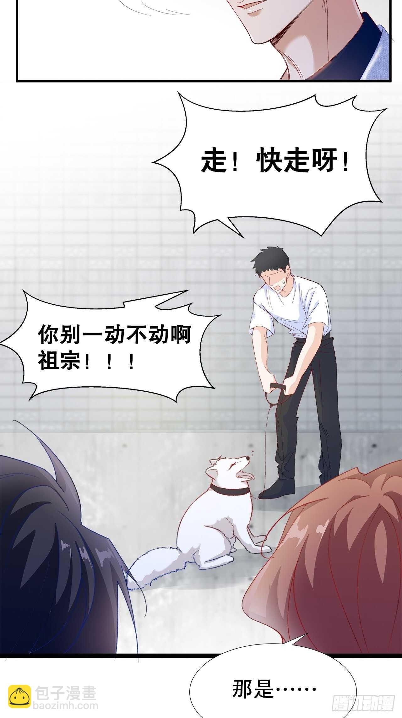 29.狐族之主(1/2)-第30话