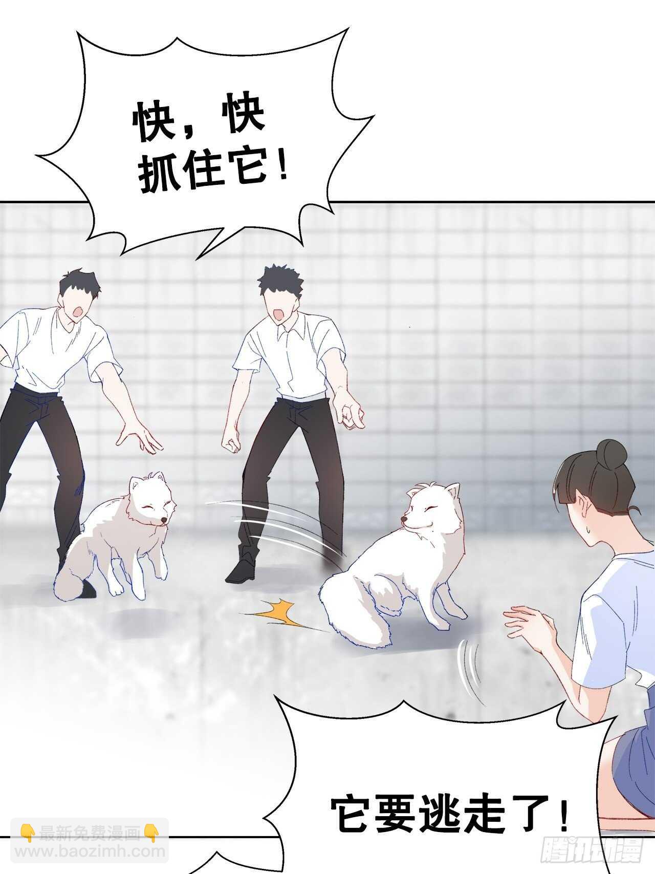 29.狐族之主(1/2)-第30话