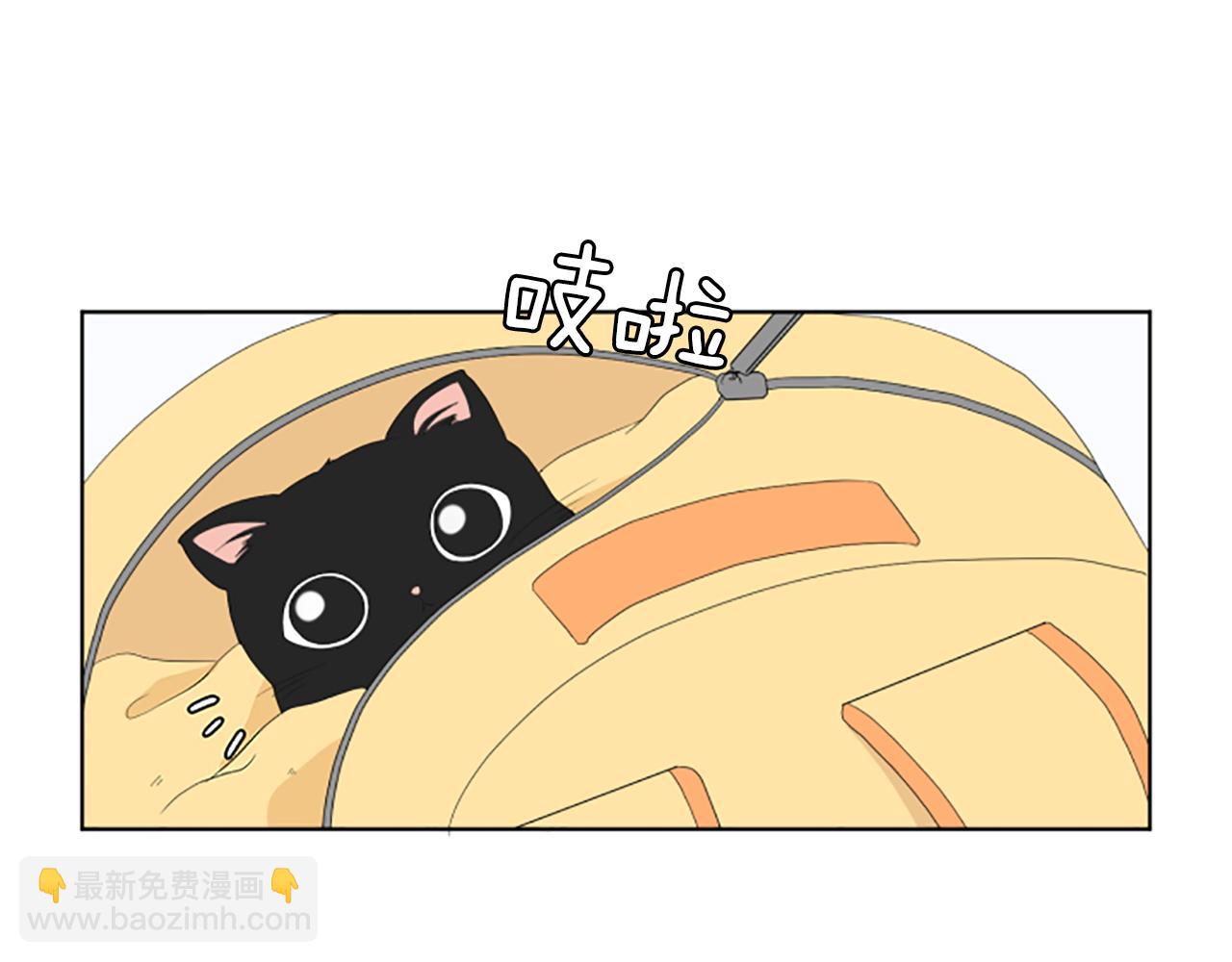 養個孩子再戀愛 - 番外2 新成員(1/3) - 5