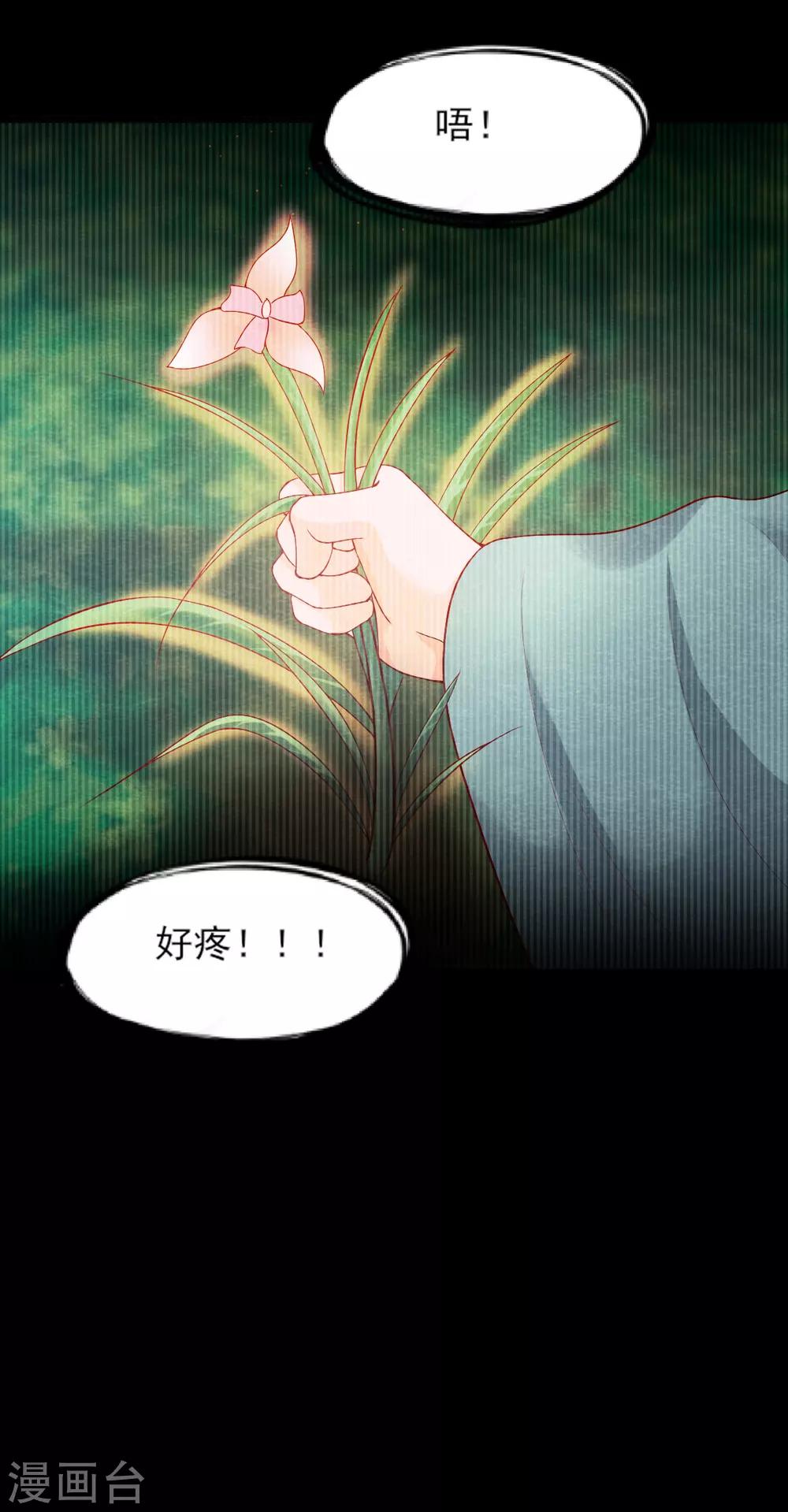 第12话 兰-第14话