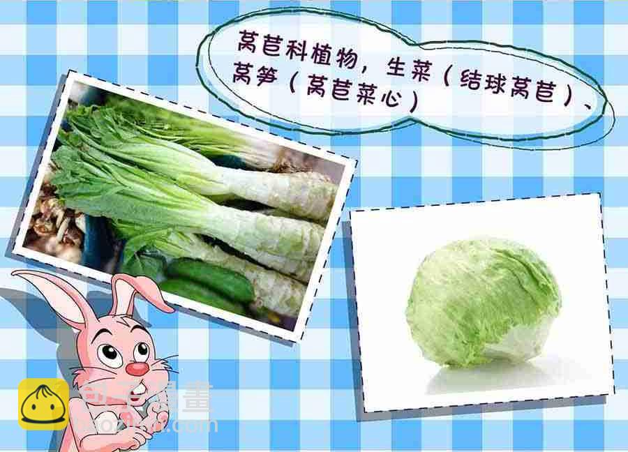 养生宝典 第14集-第14话