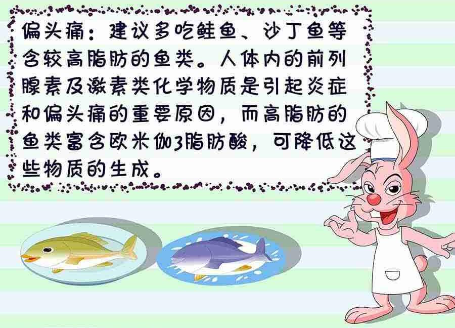 养生宝典 第16集-第16话