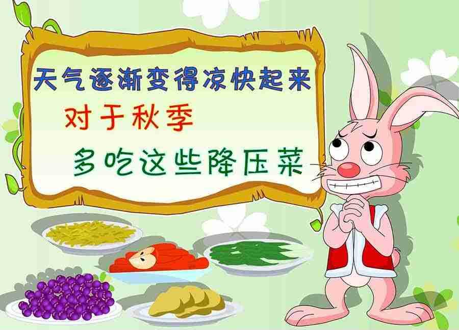 养生宝典 第16集-第16话