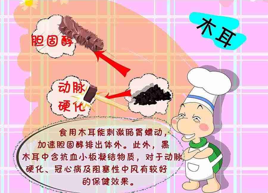 养生宝典 第18集-第18话