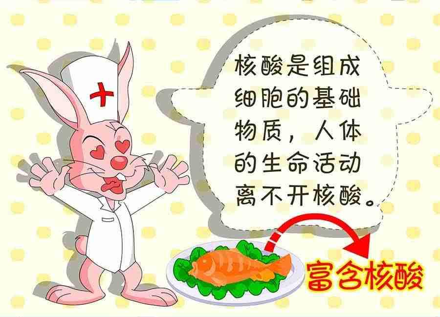 养生宝典 第20集-第20话