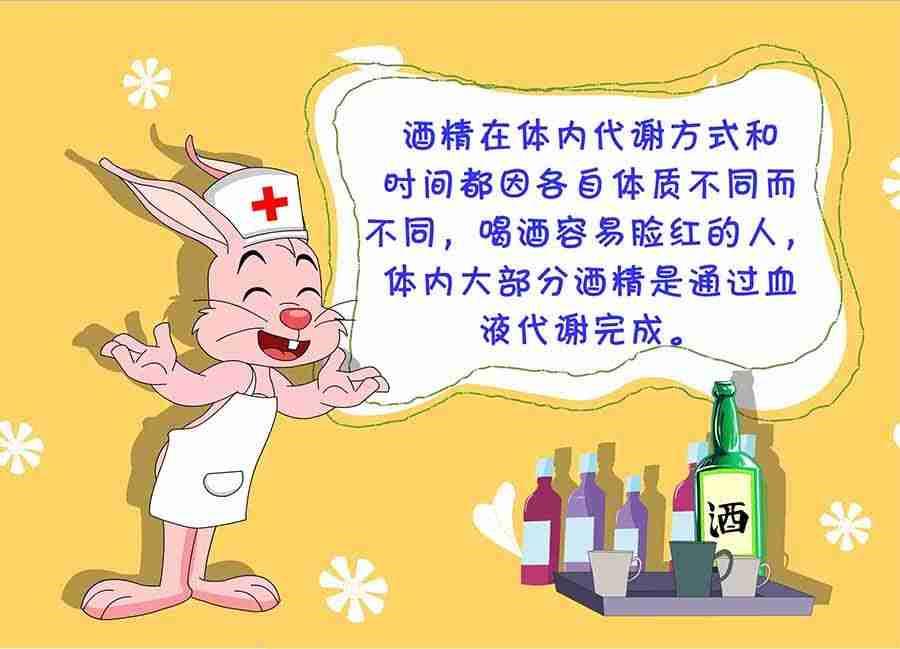 养生宝典 第24集-第24话