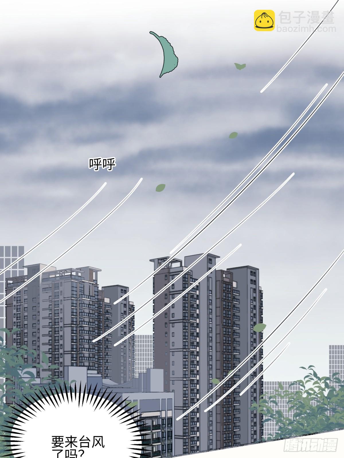 陽生小雪 - 45 十號風球 - 5