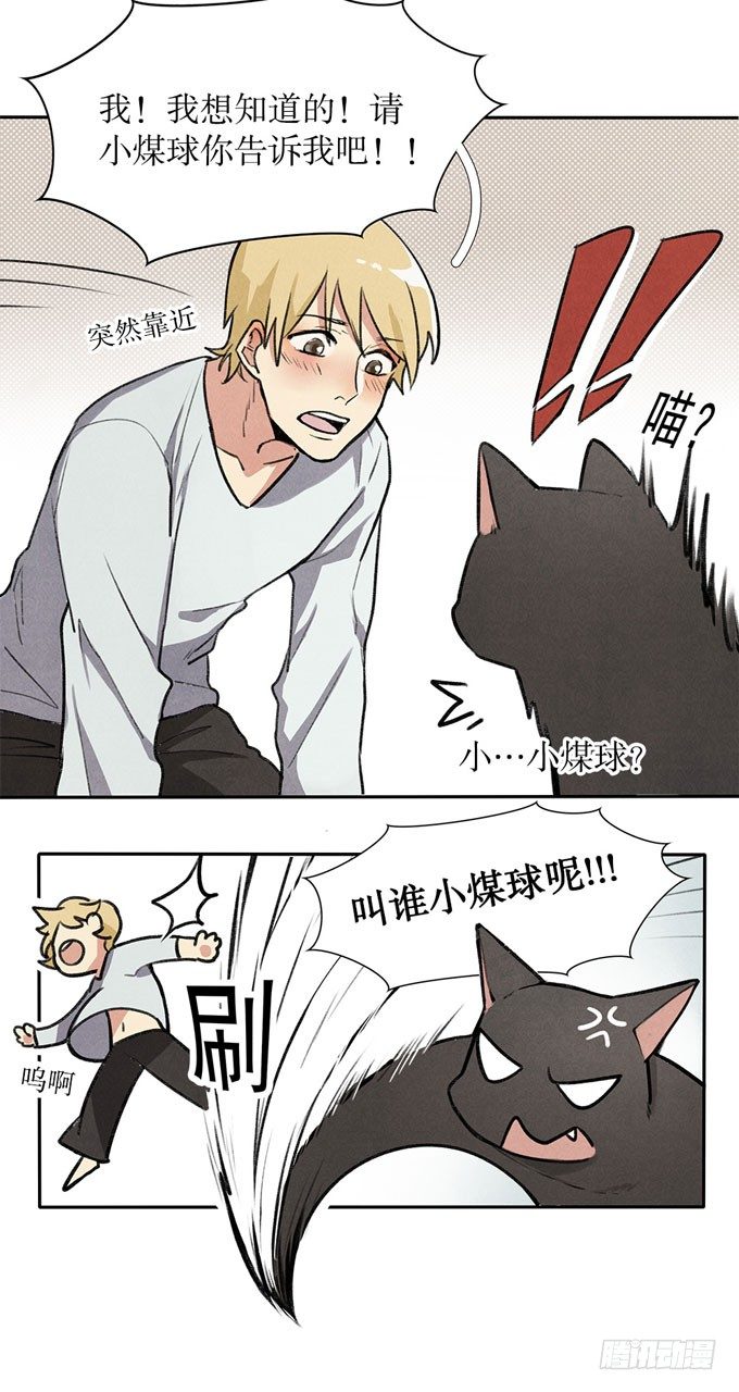 猫的报恩？-第2话